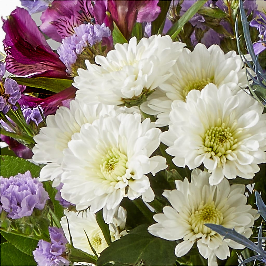 Shooting Star Bouquet –  Fred Meyer, Portland OR