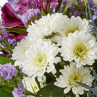 Shooting Star Bouquet –  Fred Meyer, Portland OR