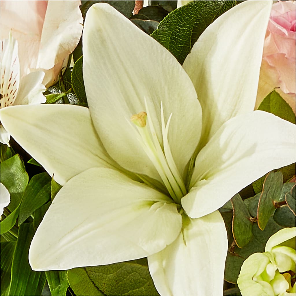 Ballet Slippers Bouquet –  Fred Meyer, Portland OR