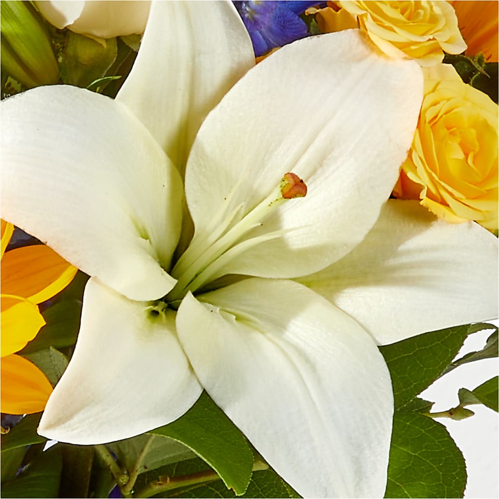 Wonderfully Sunny Bouquet –  Fred Meyer, Portland OR