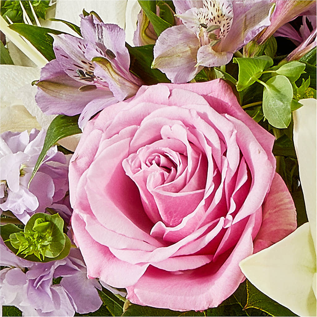 Daydreamer Bouquet –  Fred Meyer, Portland OR
