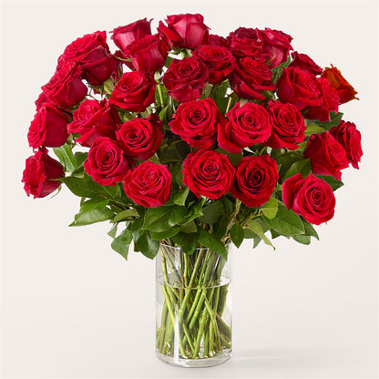 The One Red Rose Bouquet –  Fred Meyer, Portland OR