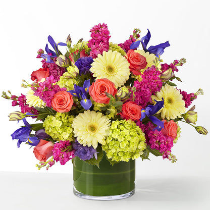 The Couture –  Fred Meyer, Portland OR